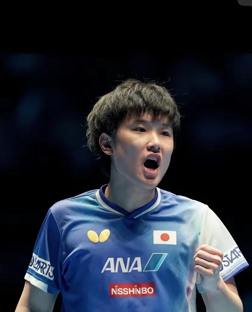 关于法国乒乓球队逆转比利时乒乓球队,张本智和统治全场的信息 关于法国乒乓球队逆转比利时乒乓球队,张本智和统治全场的信息