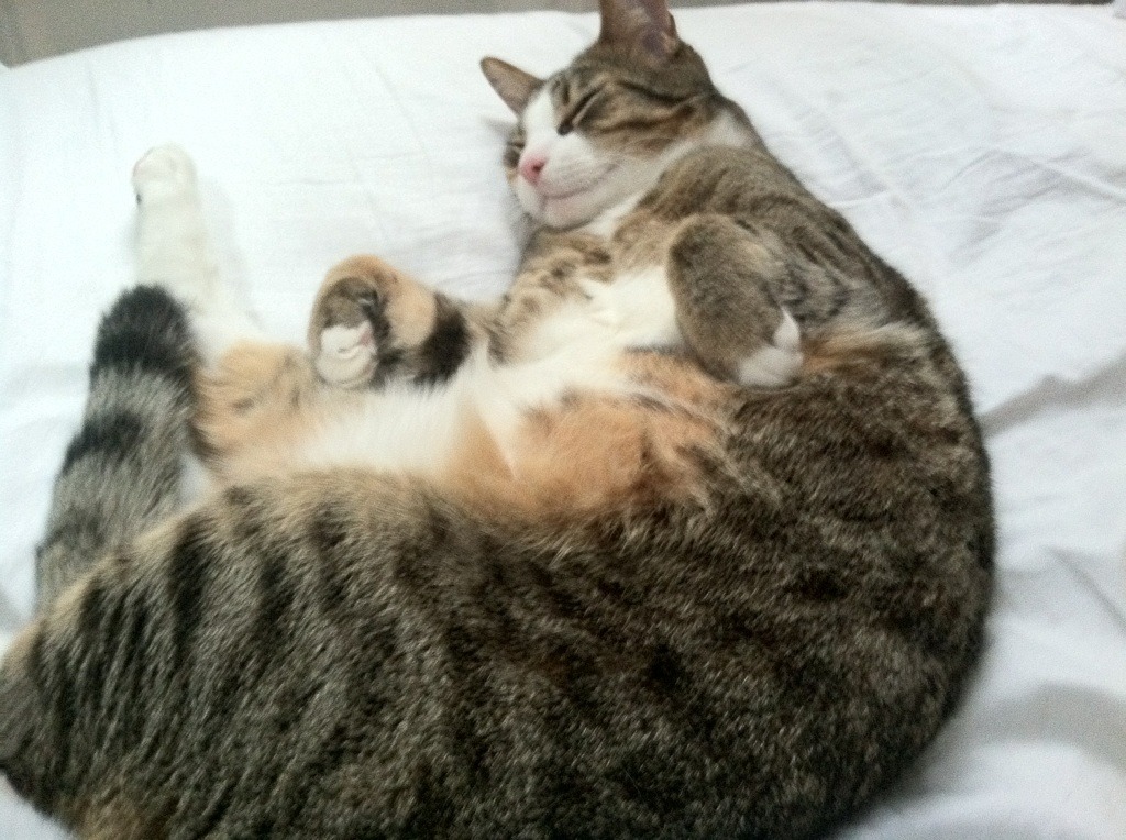 金色雨下起狂澜！贝恩死亡节点连斩，新疆队绝境降服绿衫军