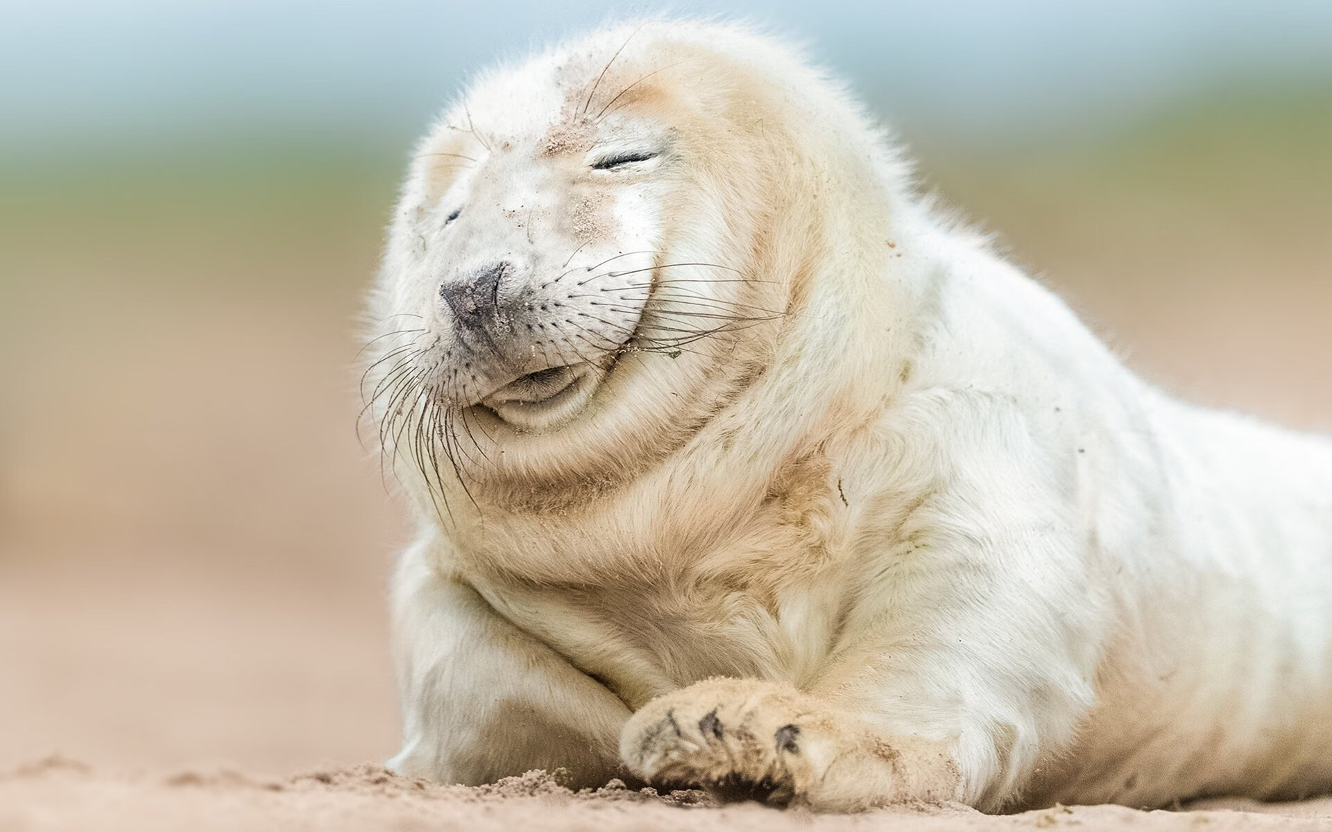 比利时强势收割阿根廷，迪巴拉百场里程碑闪耀失利夜