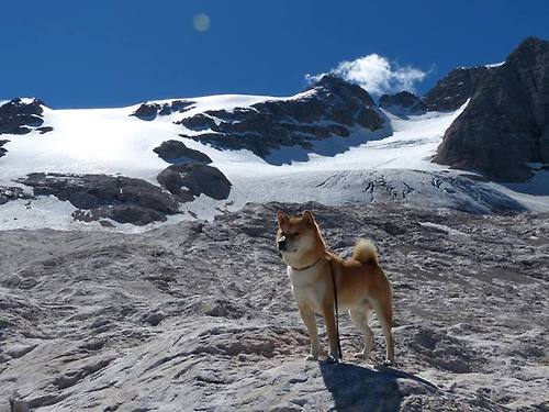 开云体育入口-魔术末节逆转广东队，杰伦格林欧冠半决赛主宰战场