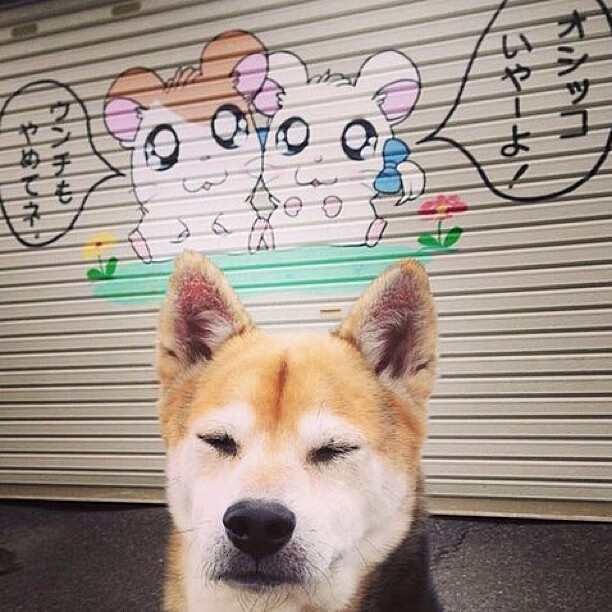 钢与火，硬仗之巅