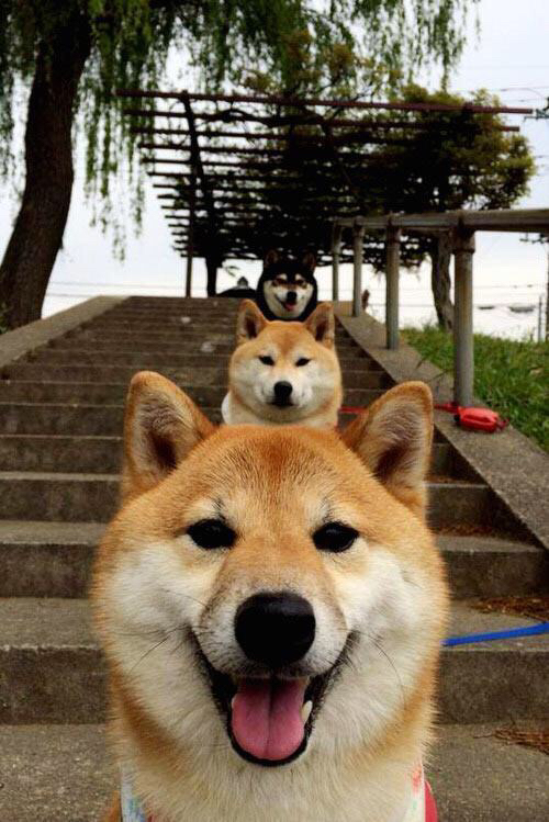 开云体育下载-压哨绝杀！伊朗险胜南非，阿克的生涯之夜铸就经典