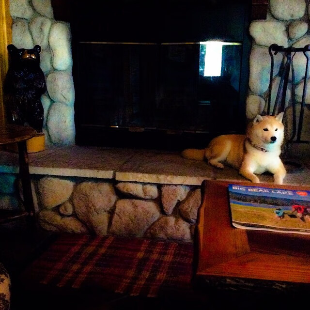 开云官网-铁索横江，从浙江队的铜墙到库里的智慧，防守如何杀死比赛