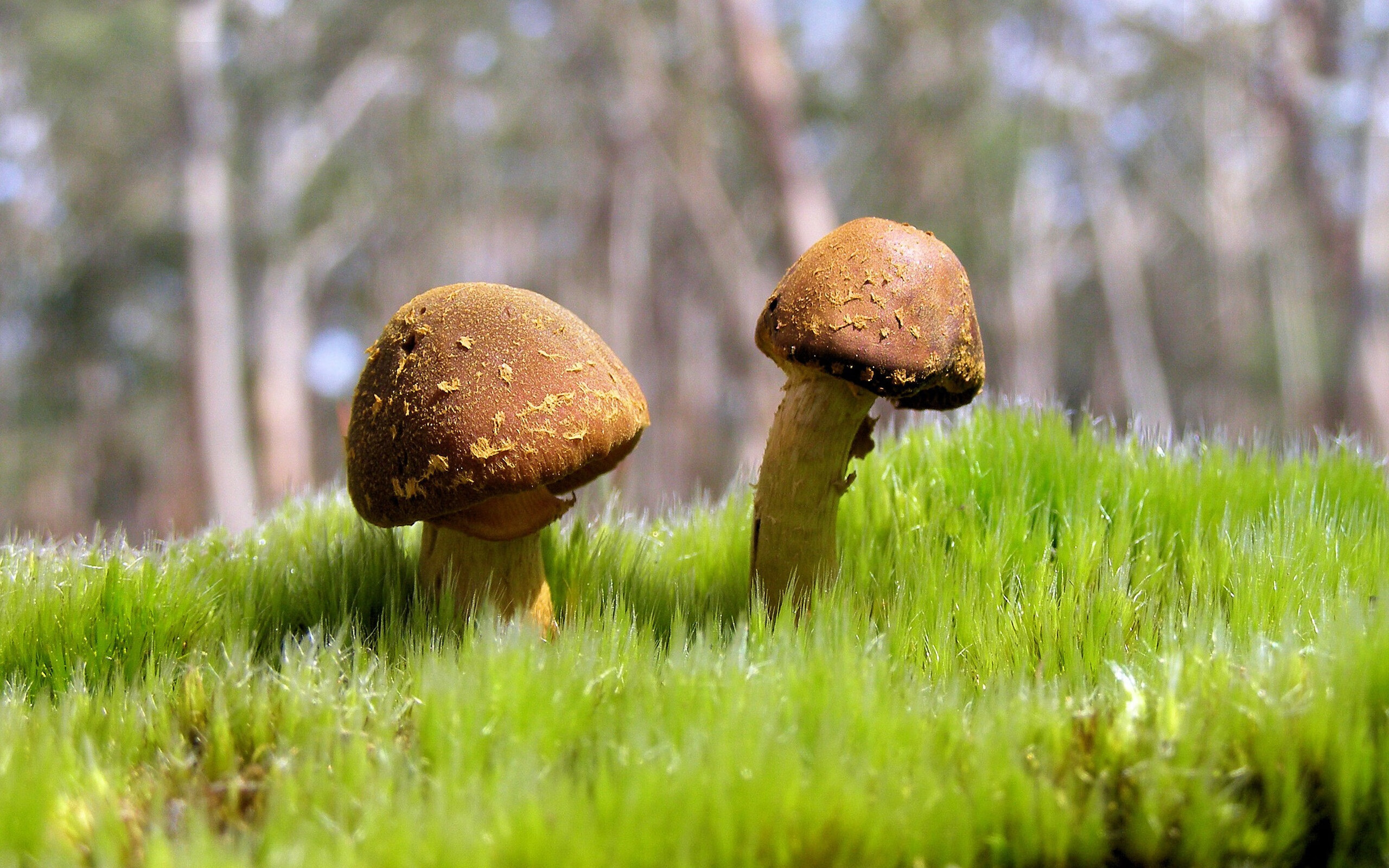 开云体育-范戴克让对手无解，挪威以节奏掌控马里