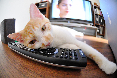 开云体育在线-变奏曲，当沙特掀翻德国战车，罗德里戈在意甲奏响新章