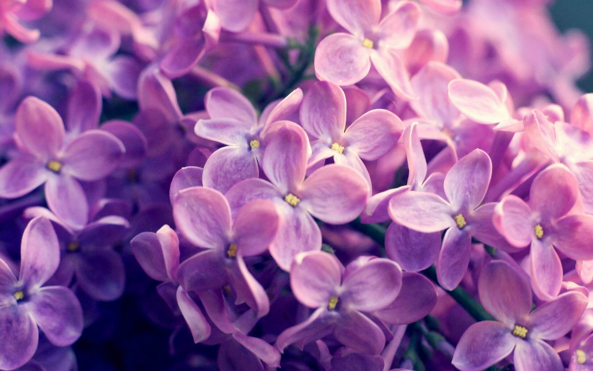 暗夜破茧，劳塔罗在年度焦点之夜的沉默爆发